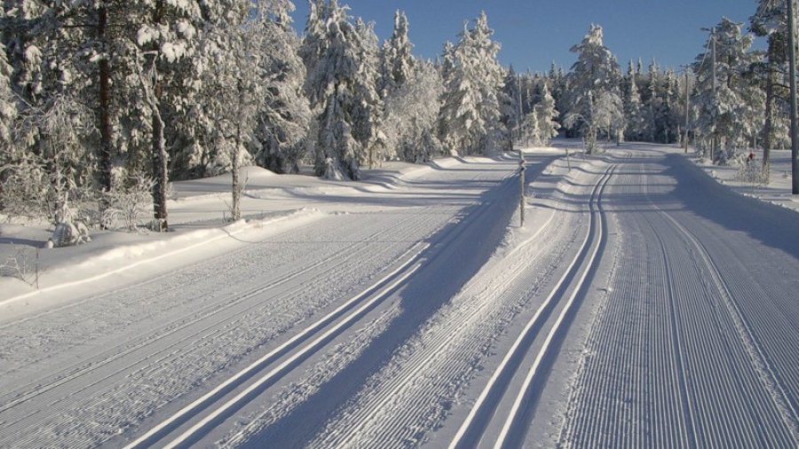 Langlaufen in Zweden